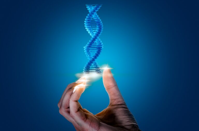 O DNA de Deus em nós