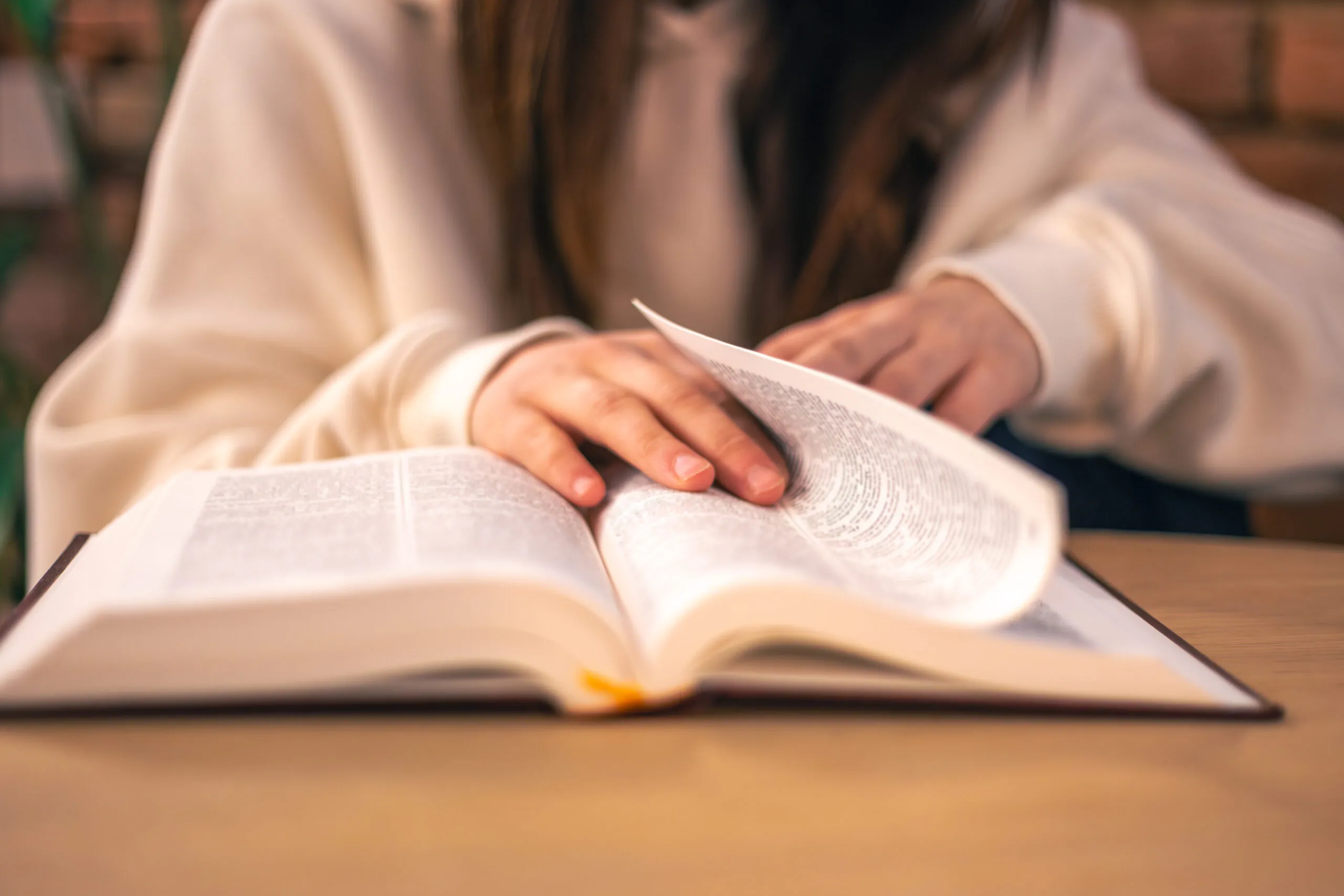 Edificados na fé santíssima