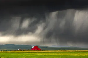 Chuva sobre a sua terra